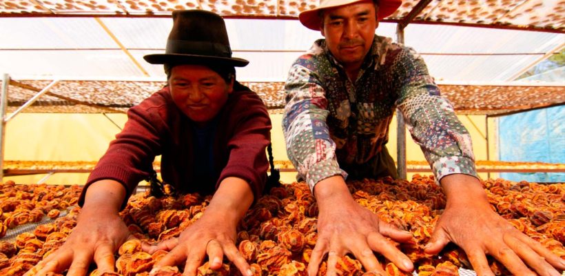 Mercados Inclusivos (Mercados Rurales)