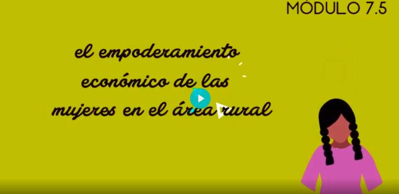 7.5. Empoderamiento económico de las mujeres en el área rural