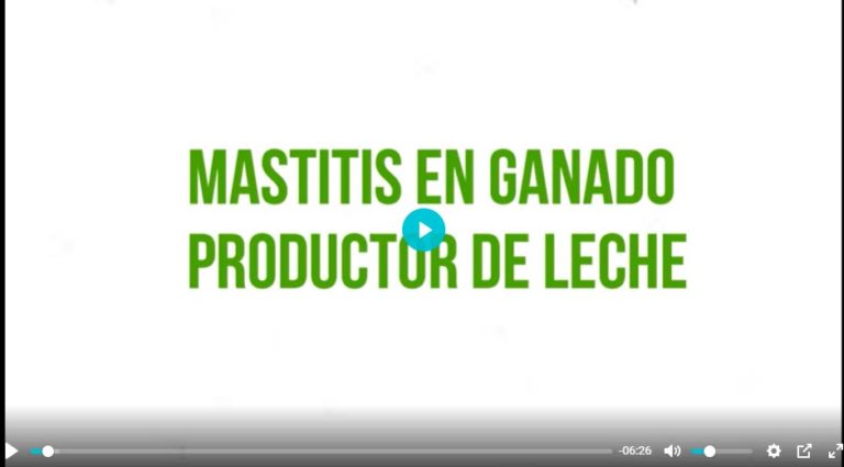 video-tutorial-mastitis