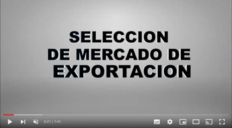 video-tutorial-mercado-exportacion