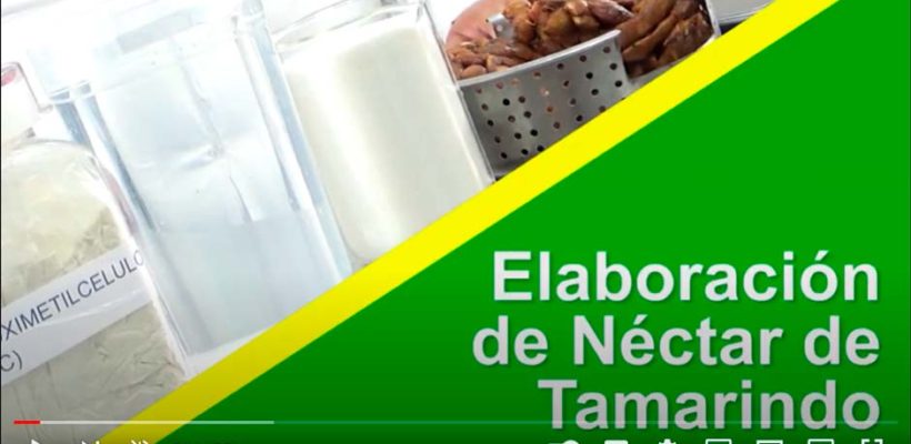 Elaboración de néctar de tamarindo