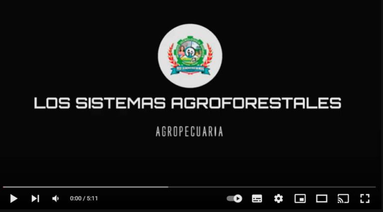 video-tutorial-sistemas-agroforestales