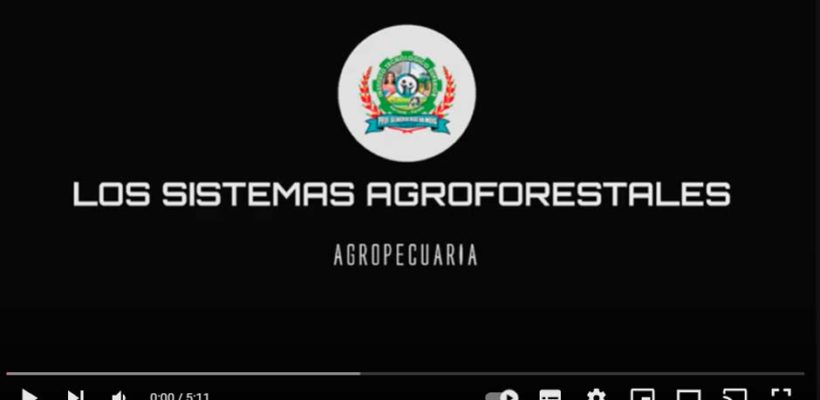 Sistemas Agroforestales