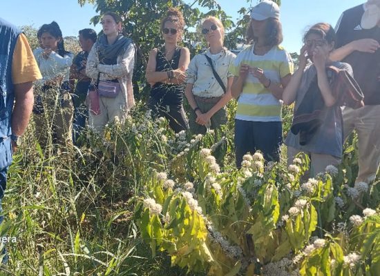 #FundaciónAmazonia. DELEGACIÓN DE LA UNIVERSIDAD DE HANNOVER Y DE LA UNIVERSIDAD AMAZÓNICA DE PANDO VISITARON EL CIDFA JUNTO A “PRODIGY VISITA A CIDFA